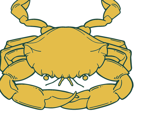 Indonesian Mud Crab icon