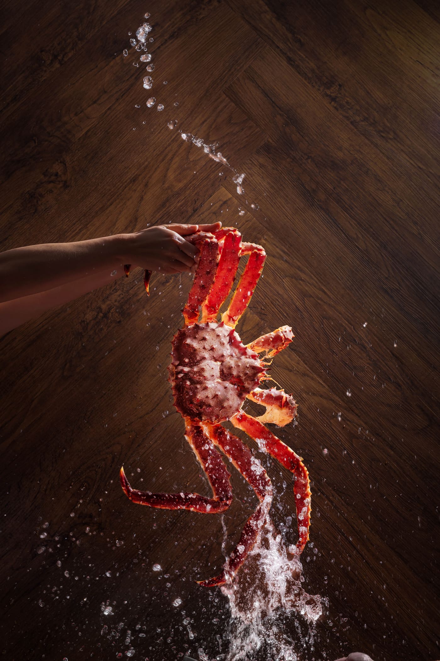Fresh king crab