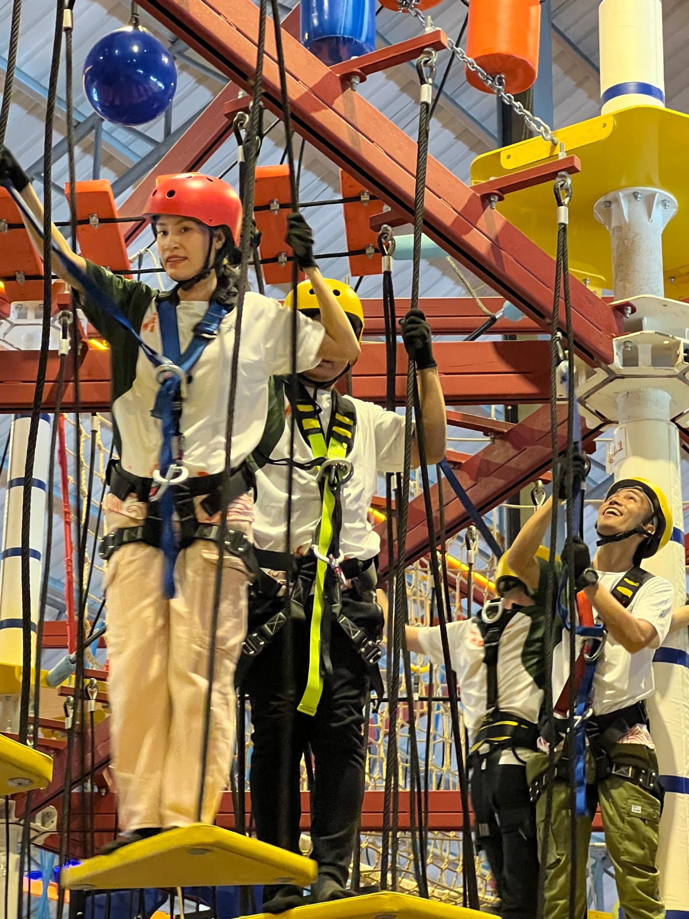 Staff on a high ropes course, 2025 team building